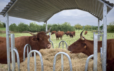 Des nouvelles de la Ferme ! Et il y en a :-)